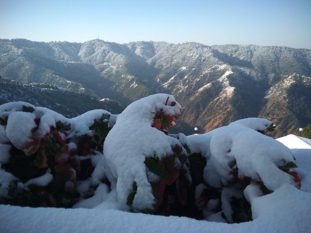 Spangle Heights Shimla, Suites And Residences Extérieur photo